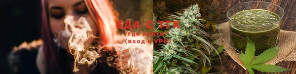 ГАЛЛЮЦИНОГЕННЫЕ ГРИБЫ Ельня