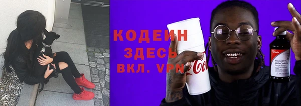 ГАЛЛЮЦИНОГЕННЫЕ ГРИБЫ Ельня