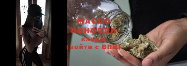 ГАЛЛЮЦИНОГЕННЫЕ ГРИБЫ Ельня
