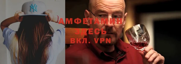 ГАЛЛЮЦИНОГЕННЫЕ ГРИБЫ Ельня