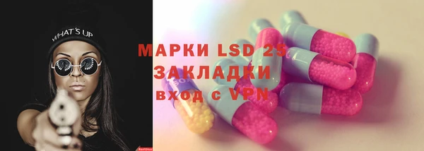 ГАЛЛЮЦИНОГЕННЫЕ ГРИБЫ Ельня