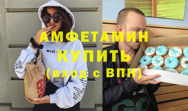 ГАЛЛЮЦИНОГЕННЫЕ ГРИБЫ Ельня