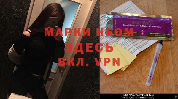ГАЛЛЮЦИНОГЕННЫЕ ГРИБЫ Ельня