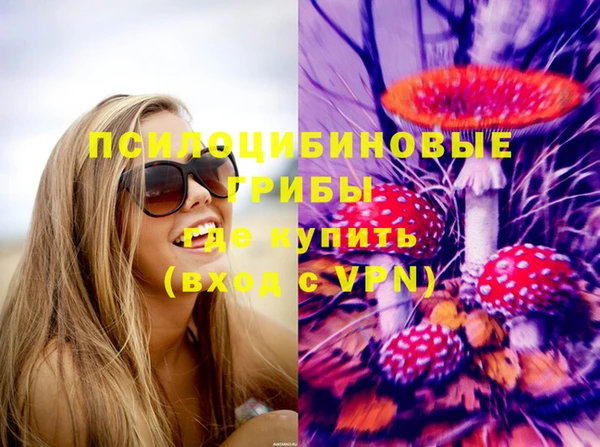 ГАЛЛЮЦИНОГЕННЫЕ ГРИБЫ Ельня