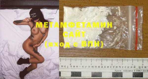 ГАЛЛЮЦИНОГЕННЫЕ ГРИБЫ Ельня