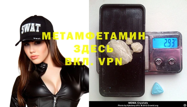ГАЛЛЮЦИНОГЕННЫЕ ГРИБЫ Ельня