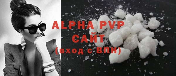 ГАЛЛЮЦИНОГЕННЫЕ ГРИБЫ Ельня